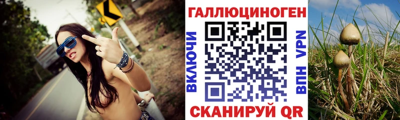 Псилоцибиновые грибы прущие грибы  где продают   ссылка на мегу зеркало  Шлиссельбург 